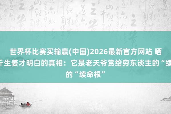 世界杯比赛买输赢(中国)2026最新官方网站 晒了30斤生姜才明白的真相：它是老天爷赏给穷东谈主的“续命根”