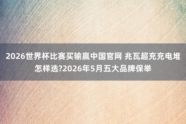 2026世界杯比赛买输赢中国官网 兆瓦超充充电堆怎样选?2026年5月五大品牌保举