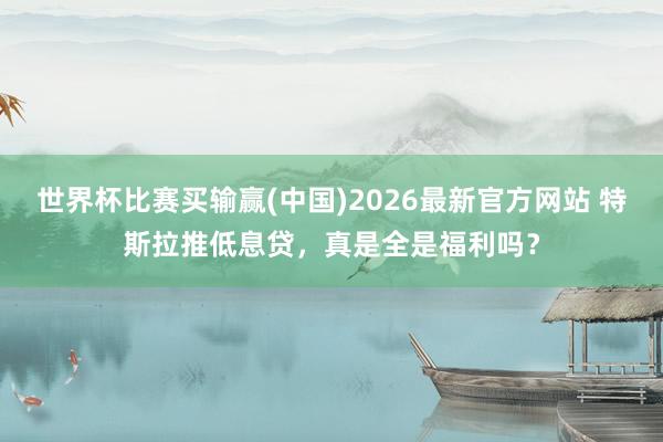 世界杯比赛买输赢(中国)2026最新官方网站 特斯拉推低息贷，真是全是福利吗？