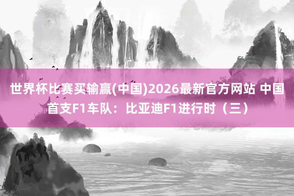 世界杯比赛买输赢(中国)2026最新官方网站 中国首支F1车队：比亚迪F1进行时（三）