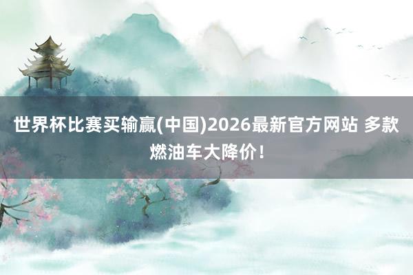世界杯比赛买输赢(中国)2026最新官方网站 多款燃油车大降价！