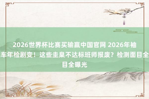 2026世界杯比赛买输赢中国官网 2026年袖珍汽车年检剧变！这些圭臬不达标班师报废？检测面目全曝光