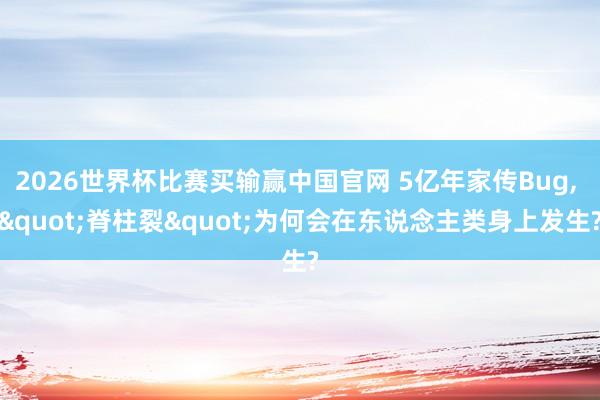 2026世界杯比赛买输赢中国官网 5亿年家传Bug， "脊柱裂"为何会在东说念主类身上发生?