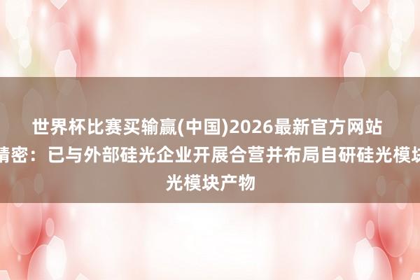 世界杯比赛买输赢(中国)2026最新官方网站 东山精密：已与外部硅光企业开展合营并布局自研硅光模块产物