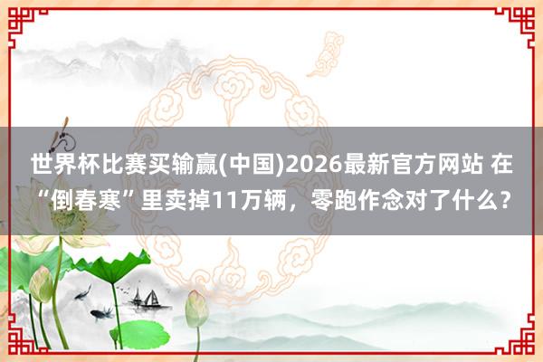 世界杯比赛买输赢(中国)2026最新官方网站 在“倒春寒”里卖掉11万辆，零跑作念对了什么？