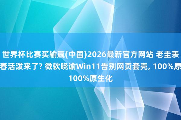 世界杯比赛买输赢(中国)2026最新官方网站 老圭表员的春活泼来了? 微软晓谕Win11告别网页套壳， 100%原生化