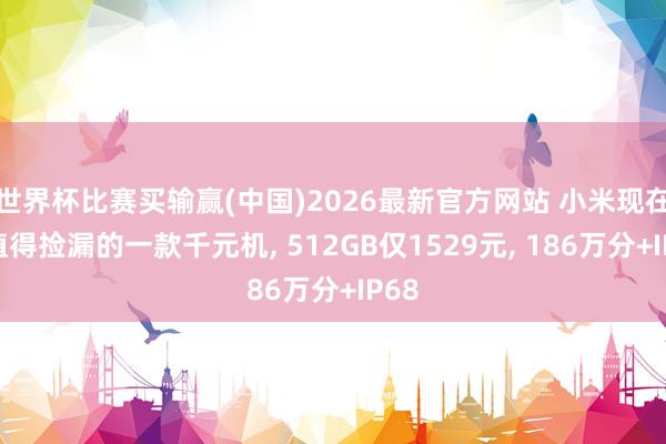 世界杯比赛买输赢(中国)2026最新官方网站 小米现在最值得捡漏的一款千元机, 512GB仅1529元, 186万分+IP68