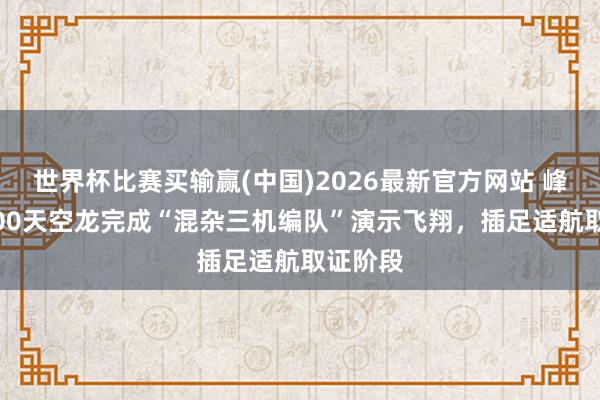 世界杯比赛买输赢(中国)2026最新官方网站 峰飞V5000天空龙完成“混杂三机编队”演示飞翔，插足适航取证阶段