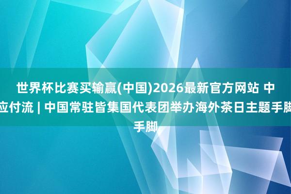世界杯比赛买输赢(中国)2026最新官方网站 中应付流 | 中国常驻皆集国代表团举办海外茶日主题手脚