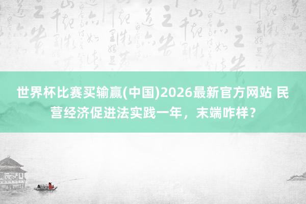 世界杯比赛买输赢(中国)2026最新官方网站 民营经济促进法实践一年，末端咋样？