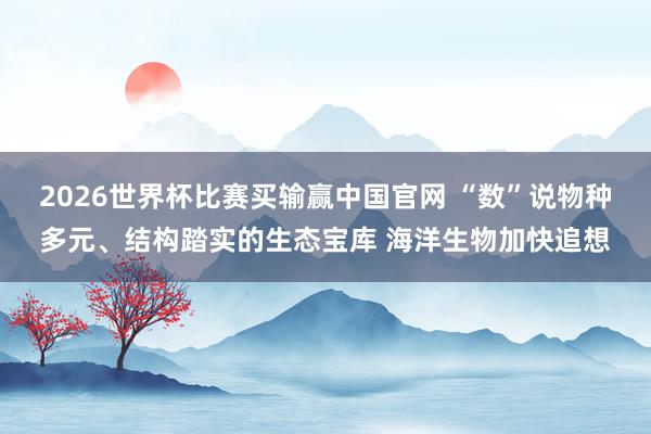2026世界杯比赛买输赢中国官网 “数”说物种多元、结构踏实的生态宝库 海洋生物加快追想