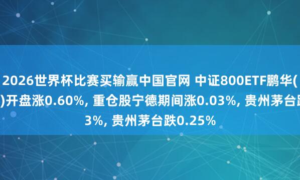 2026世界杯比赛买输赢中国官网 中证800ETF鹏华(159800)开盘涨0.60%, 重仓股宁德期间涨0.03%, 贵州茅台跌0.25%