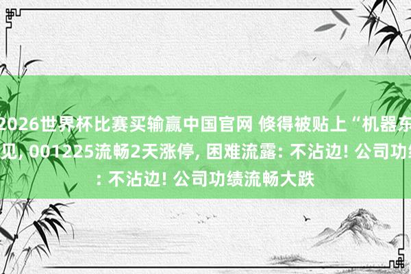 2026世界杯比赛买输赢中国官网 倏得被贴上“机器东说念主”成见, 001225流畅2天涨停, 困难流露: 不沾边! 公司功绩流畅大跌