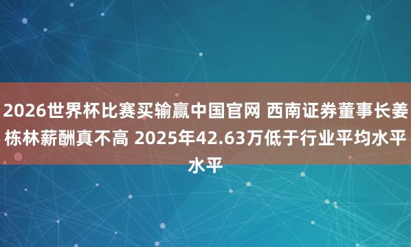 2026世界杯比赛买输赢中国官网 西南证券董事长姜栋林薪酬真不高 2025年42.63万低于行业平均水平