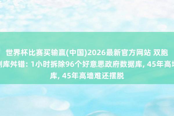 世界杯比赛买输赢(中国)2026最新官方网站 双胞胎门径员删库舛错: 1小时拆除96个好意思政府数据库， 45年高墙难还摆脱
