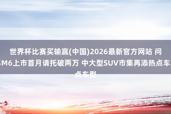 世界杯比赛买输赢(中国)2026最新官方网站 问界M6上市首月请托破两万 中大型SUV市集再添热点车型
