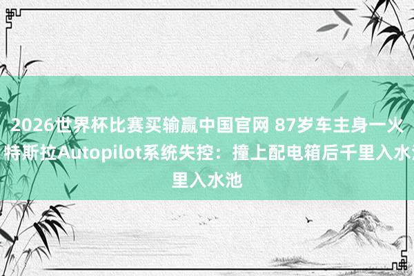 2026世界杯比赛买输赢中国官网 87岁车主身一火!特斯拉Autopilot系统失控:撞上配电箱后千里入水池