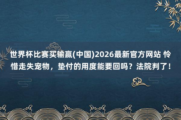 世界杯比赛买输赢(中国)2026最新官方网站 怜惜走失宠物，垫付的用度能要回吗？法院判了！