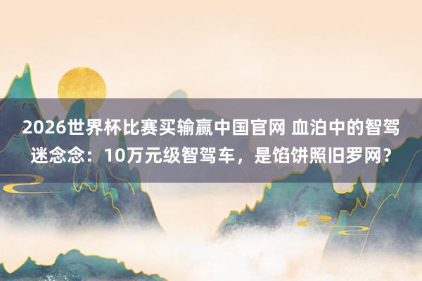 2026世界杯比赛买输赢中国官网 血泊中的智驾迷念念：10万元级智驾车，是馅饼照旧罗网？