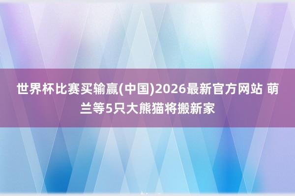 世界杯比赛买输赢(中国)2026最新官方网站 萌兰等5只大熊猫将搬新家