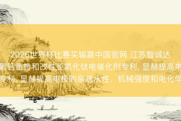 2026世界杯比赛买输赢中国官网 江苏智诚达环保科技央求离子注入氟钙氩搀和改性亚氧化钛电催化剂专利, 显赫提高电极的亲疏水性、机械强度和电化学寂静性