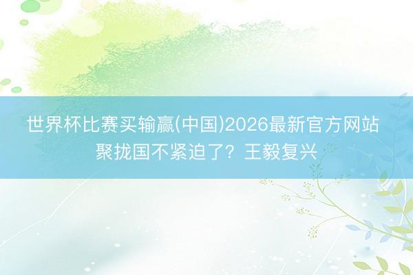 世界杯比赛买输赢(中国)2026最新官方网站 聚拢国不紧迫了？王毅复兴